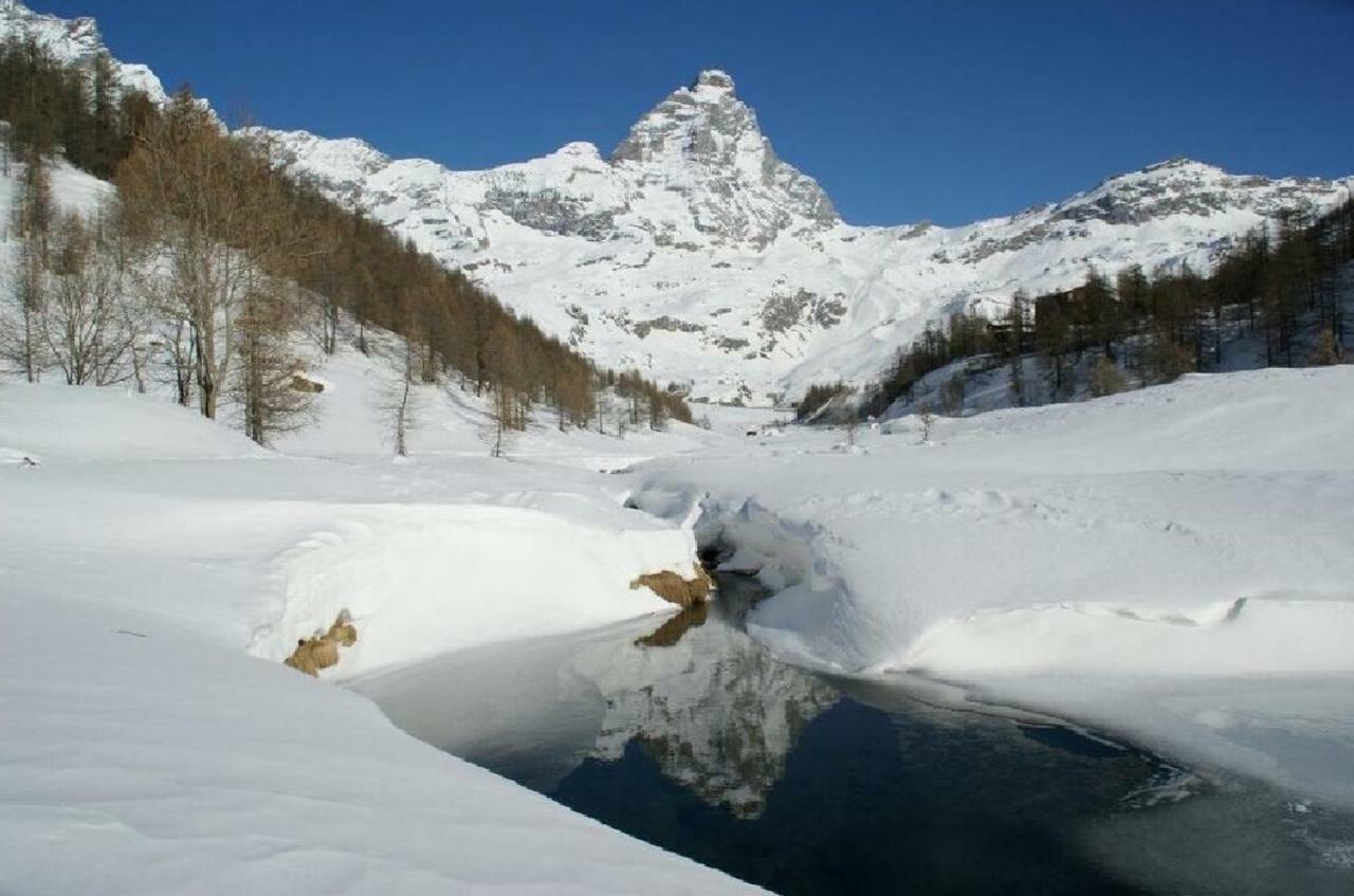 Fagus Cervinia Apartment Vda Vacanze In Vetta Cir 0206 Breuil-Cervinia Bagian luar foto